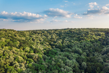 Obraz premium Aerial view of the forest and clouds