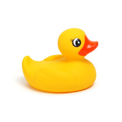 Yellow rubber duck on white