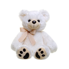 Teddy bear on a white
