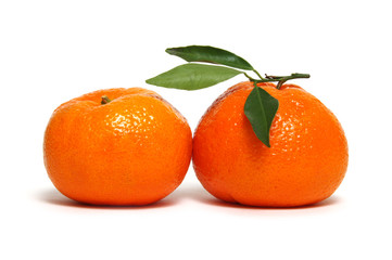 Tangerine or clementine with green leaf