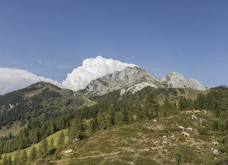 Fototapeta premium Landschaft in Kärnten