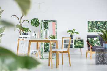 Leaves in bright living room
