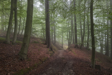 Obraz premium Landschaft in Kärnten