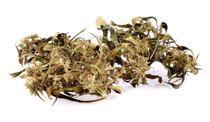 dry cannabis indica on white background