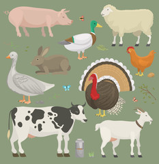 Different home farm vector animals and birds like cow, sheep, pig, duck farmland set illustration