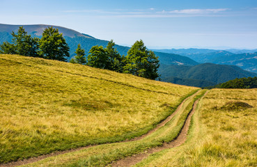 countryside road through grassy hill. rural transportation concept. lovely summer landscape in Carpatian mountains