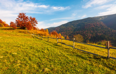 fence along the grassy hillside. beautiful autumn scenery in mountains. calm rural life concept