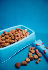 A bowl of dog food and snacks