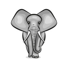 African elephant illustration