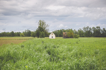Obraz premium Green field, dramatic grey sky and old abandoned wooden barn and small house, Lonjsko Polje, Croatia