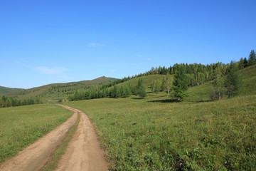 Fototapeta na wymiar trail on green grassland under blue sky