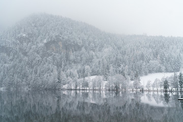 Winter landscape at a lake in Austria