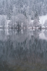 Winter landscape at a lake in Austria