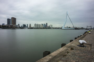 Rotterdam landscape with view from Kop van Zuid on the Erasmus bridge or Erasmusbrug over Nieuwe Maas river