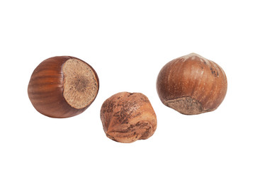 Haselnüsse und Haselnusskern freigestellt