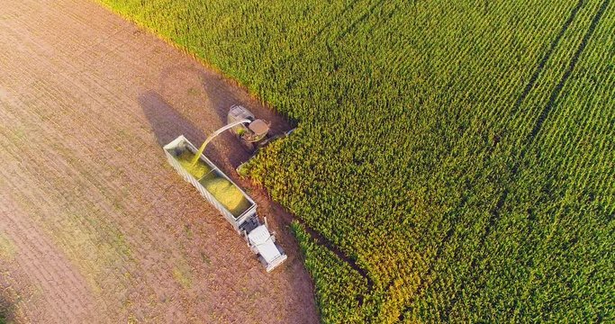 Semi truck and farm machines harvesting corn in Autumn, breathtaking aerial view.
