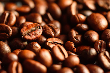 Close-up of brown roasted coffee beans