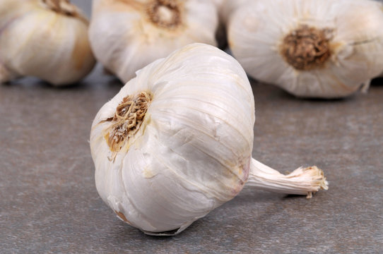 Gousse D Ail Photos Illustrations Vecteurs Et Videos Libres De Droits Adobe Stock