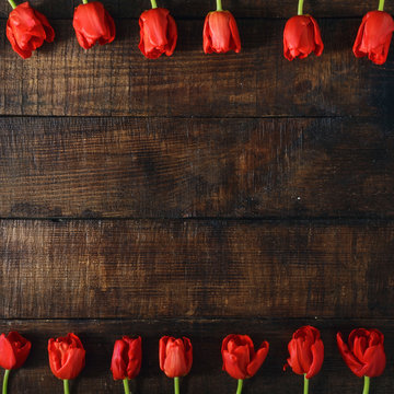 Frame made of red tulips on dark wooden background