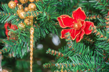 Colorful Christmas decorations on fir tree, spruce