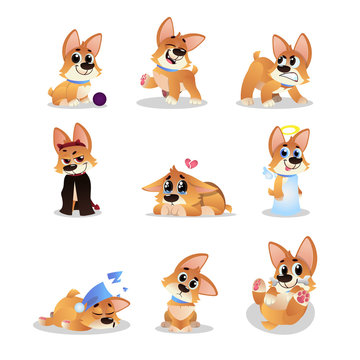 Set of cartoon corgi. Funny little dog in different actions. Walking, wondering, sleeping, growling, playing, crying, angel and evil. Domestic animal. Flat vector design