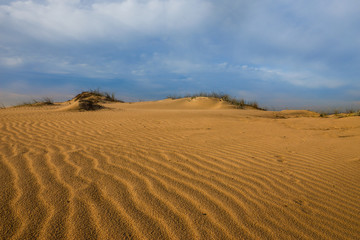 Fototapeta na wymiar The Israeli dune. Ashkelon.