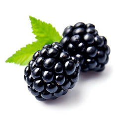 Sweet blackberries fruits.