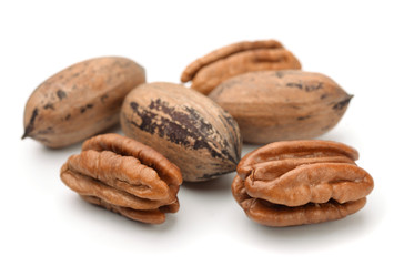 Group of pecan nuts