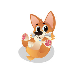 Funny corgi lies on his back with bone in mouth. Cartoon pet character. Playful domestic animal. Flat vector design for sticker, kids print or greeting card