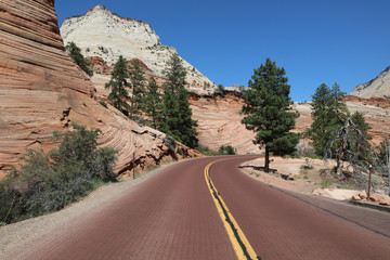Road through Red Canyon in Dixie National Forest. Utah. USA