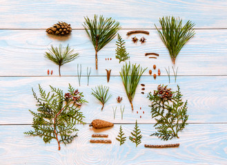 beautiful branches of trees and pines, cones, Christmas trees are laid out in the form of a square on a light wooden background. Top view. Christmas and New Year concept