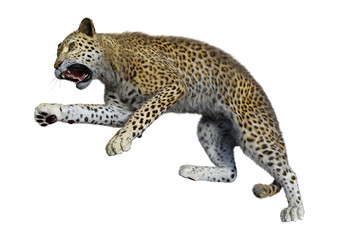 3D Rendering Big Cat Leopard on White