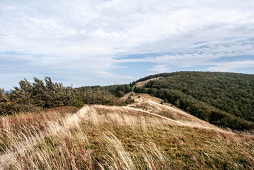 autumn on Male Jaslo hilll with mountain meadow in Biesczady mountains in Poland © honza28683