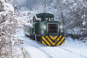 Train in the winter - Forest railway