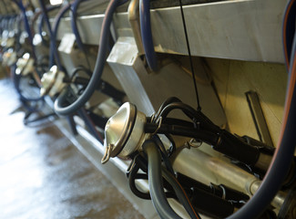 Mechanized milking equipment