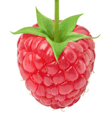 Ripe raspberry with green leaf isolated on white background with clipping path