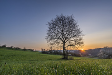Fototapeta premium Morgenrot