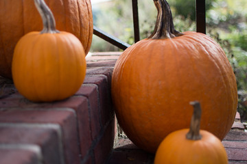 Pumpkins on brick steps for fall and autumn decoration