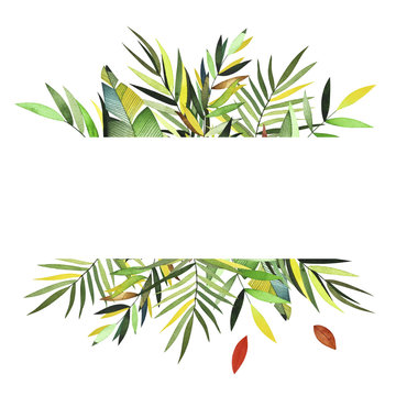 Watercolor tropic frame. Collection included colorful leaves and branches. Perfect for you postcard design,invitations,projects,wedding card,logo,packaging.