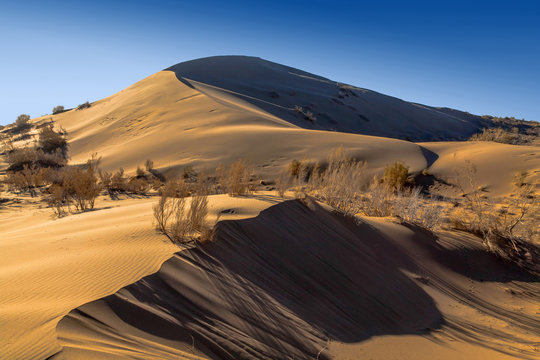 Singing barkhan in the morning autumn rays in the Altyn-Emel national park. Kazakhstan