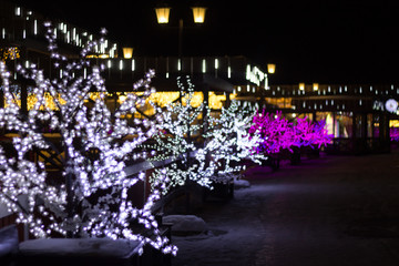 evening city holiday lights garland in the form of bushes with flowers pink and white