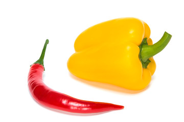 chili pepper isolated