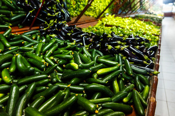Shop bazaar fruits and vegetables. Set of vegetables cucumber, eggplant, pepper
