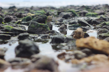 stones in the water on the sea shore