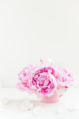 Fresh bunch of pink peonies on light background