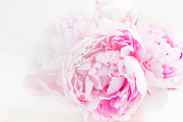 Fresh bunch of pink peonies on light background