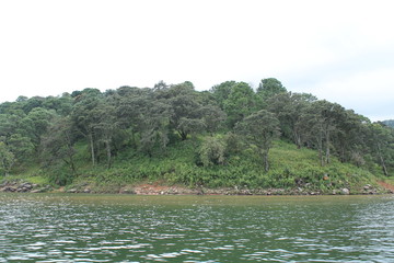 laguna