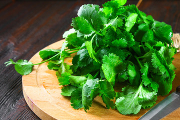 bunch of fresh cilantro on the boards, fresh herbs on wooden table.
