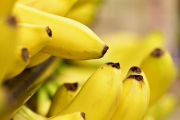 Close up of ripe Bananas 
