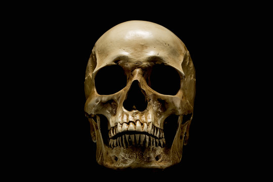 Skull isolated on black 